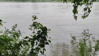 कोसी के बढ़ते जलस्तर से तटबंध किनारे के गांवों में बाढ़ का खतरा