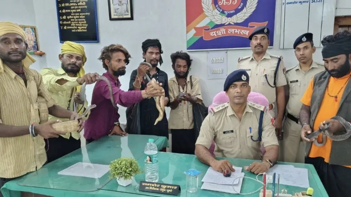 बिहार में चलती जनसेवा एक्सप्रेस ट्रेन में सांप का फन और यात्रियों से वसूली, छह सपेरे गिरफ्त में