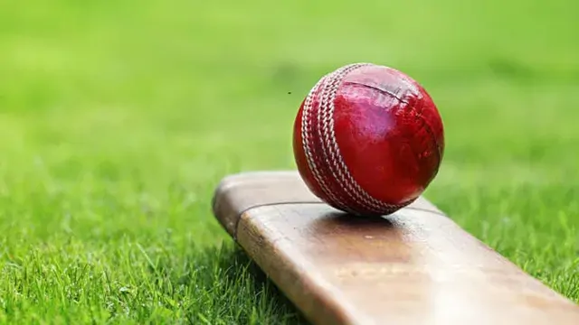 टी20 में तिहरा शतक! 30 छक्के और 27 चौके के साथ बने 311 रन, इस बच्चे ने रिकॉर्ड बुक को हिला दिया