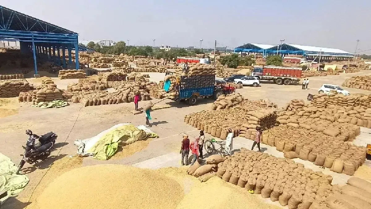 बिहार में धान खरीद की तारीखें घोषित, किसानों को 48 घंटे में मिलेगा ₹2461 प्रति क्विंटल का रेट