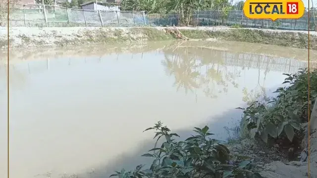 कतला, कलमकाट, रोहू और नैनी... मिथिलांचल की मछली का बच्चा तैयार कर मोटी कमाई कर रहे दरभंगा के शशि रंजन