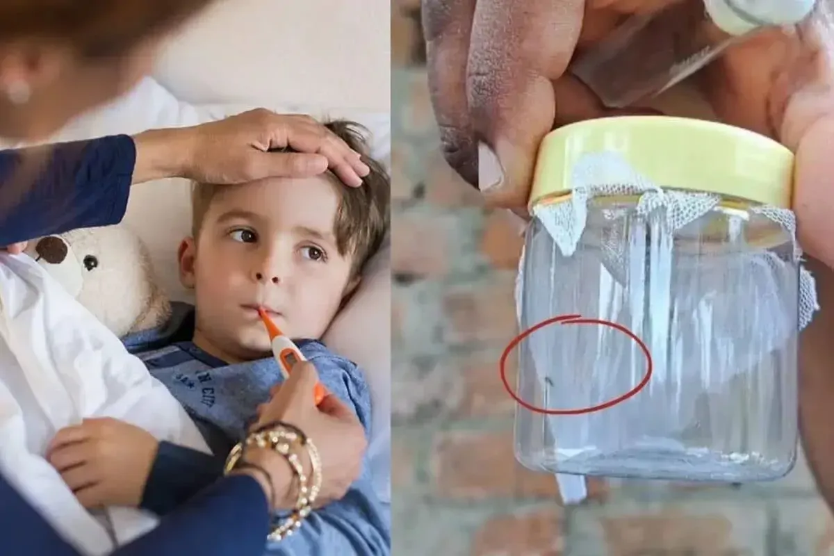 गुजरात में चांदीपुरा वायरस से 12 बच्चों की मौत, यहां समझिए कैसे फैलता है ये वायरस और इसके लक्षण