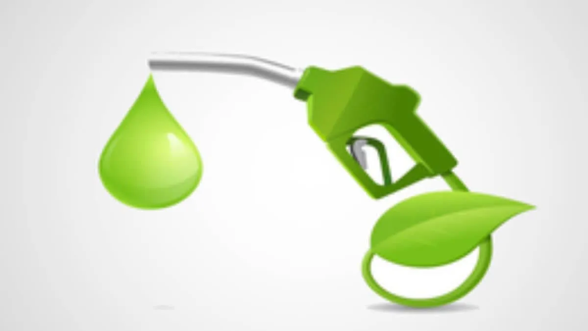 Ethanol blended petrol issues